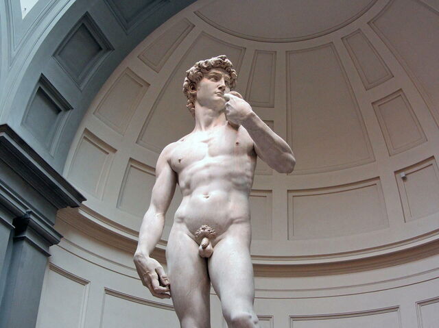 Michelangelo's David in the Accademia