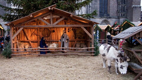 Live Nativity