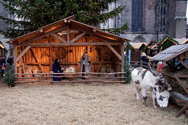 Live Nativity