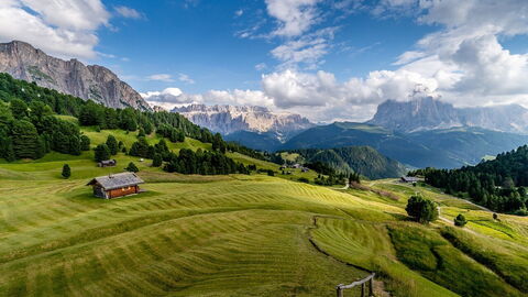 A mountain meadow, Italy