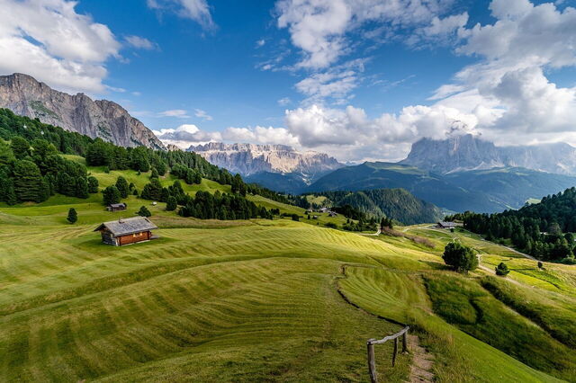 A mountain meadow, Italy