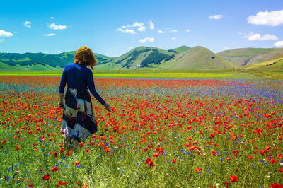 Fiorita in Castelluccio