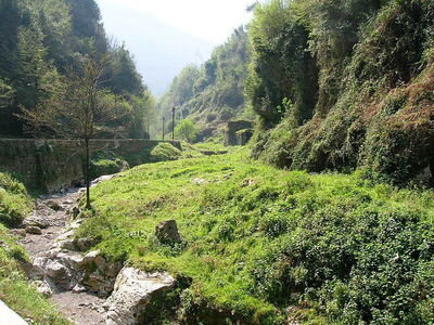 Greenery, Valley of the Mills