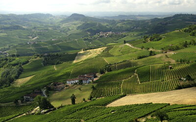 Scenery in Langhe