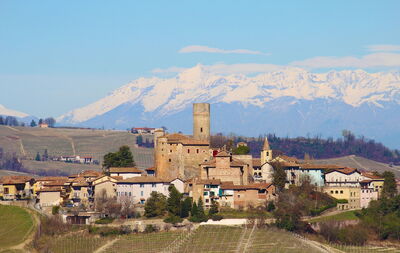Barolo