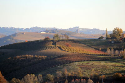 Rolling hills in Langhe
