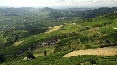 Scenery in Langhe