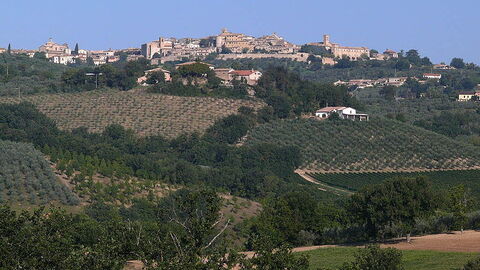 View of montefalco