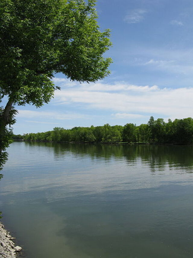 A calm flowing river