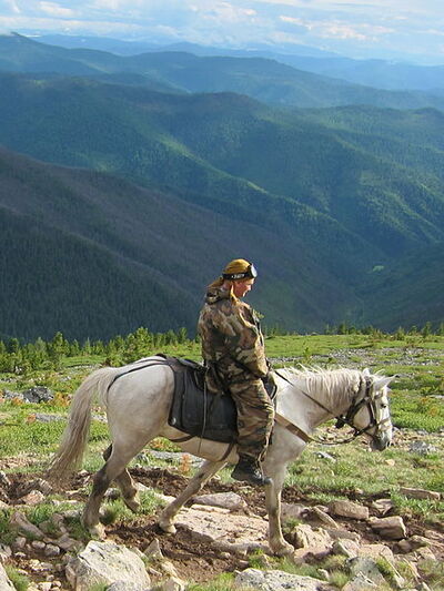 Horseriding in the mountains