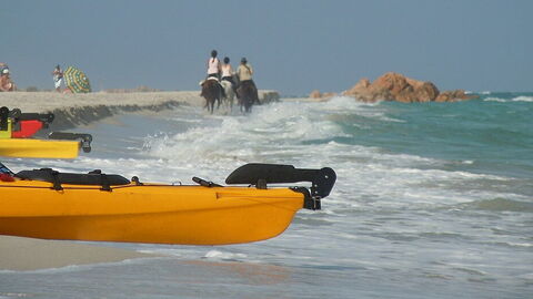 Activities at Berchida Beach