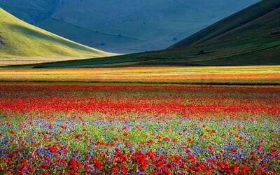 Castelluccio di Norcia