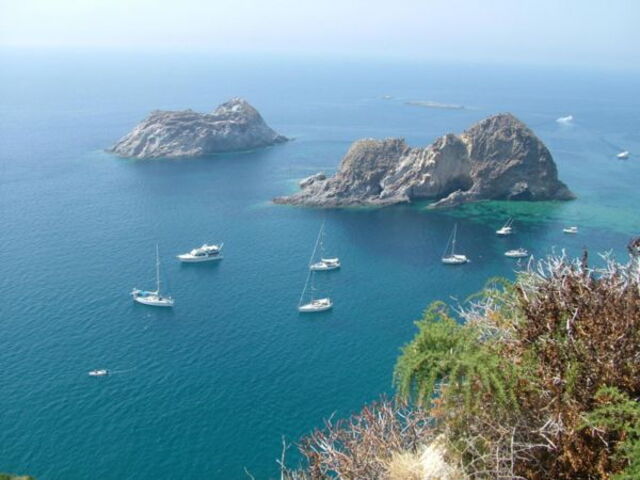 View of Palmarola Island