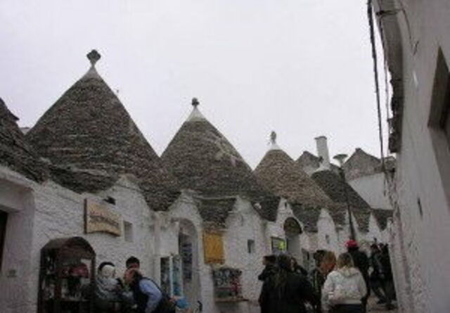 Alberobelllo