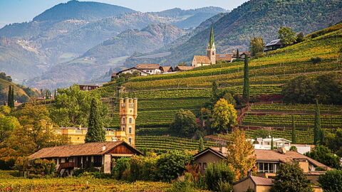 Bolzano vineyard in Autumn
