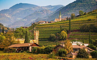 Bolzano vineyard in Autumn