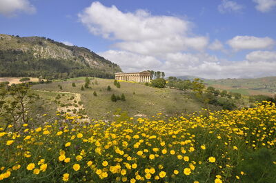 Segesta