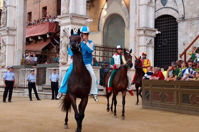 Horses at the Palio di Siena