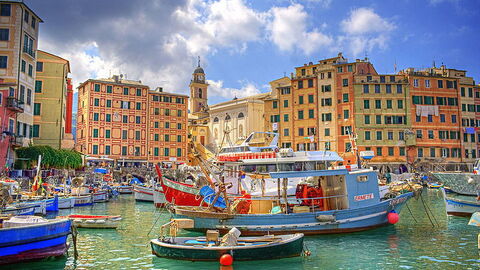 The Colourful Harbour at Camogli