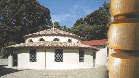 Parmesan Museum