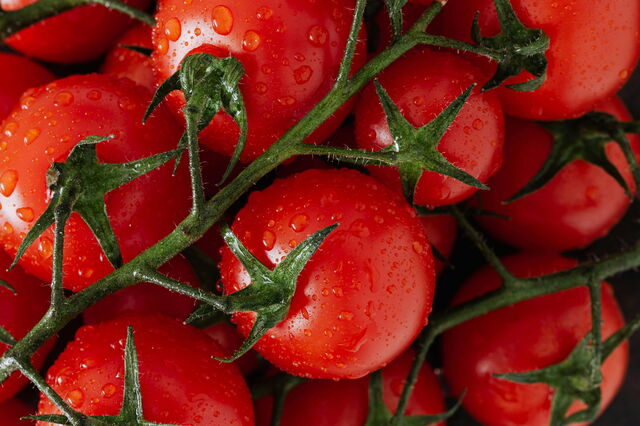 Tomatoes