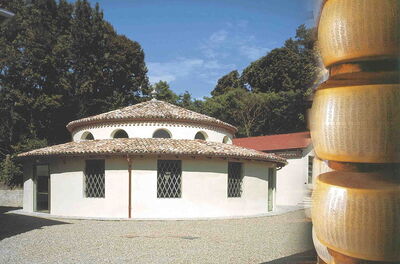 Parmesan Museum