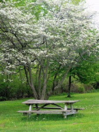 Picnic table in the countryside