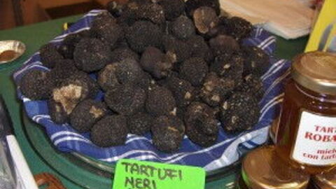 Black Truffles from Umbria