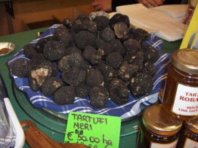 Black Truffles from Umbria
