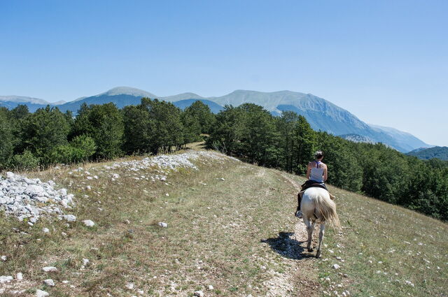 Gran Sasso, horse riding