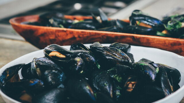 Seafood