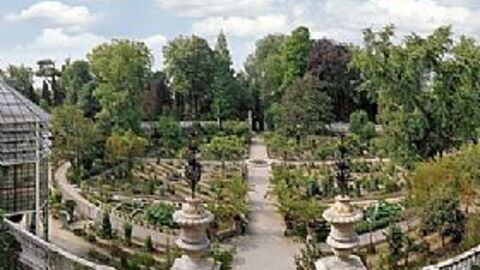 padua's botanical garden