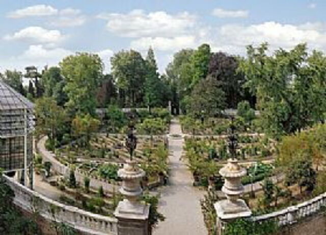 padua's botanical garden