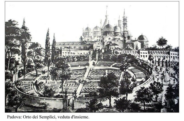 drawing of 15th century garden layout