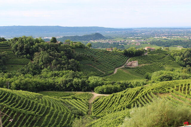Landscapes around Treviso