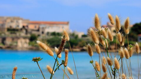 A View towards Pianosa