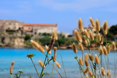 A View towards Pianosa