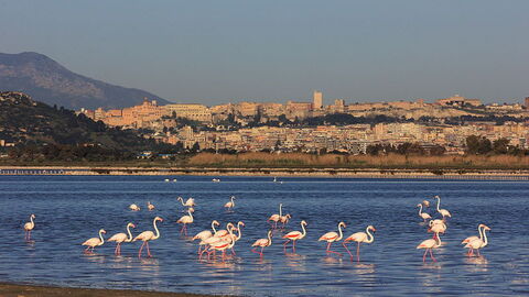 coastal view of cagliari