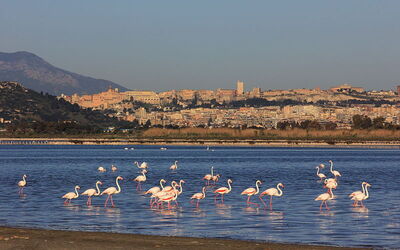 coastal view of cagliari