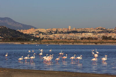 coastal view of cagliari