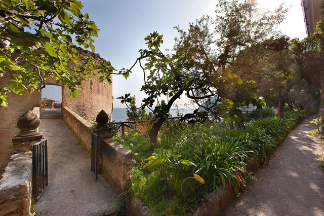Mansour, gardens