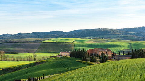 View of fields and hills in Tuscany