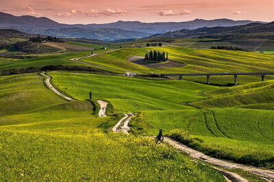 A road through Tuscany