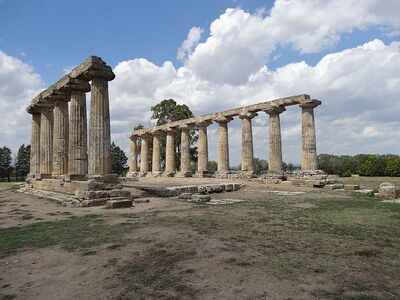 greek temple in metaponto