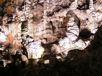 Section of Grotta Gigante