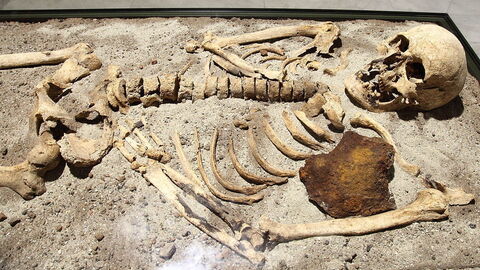 Vampire Skeleton