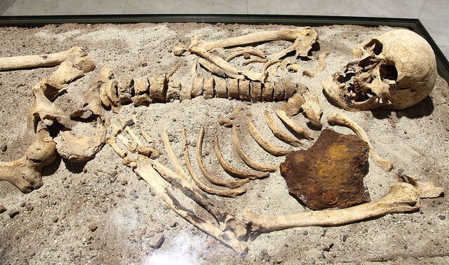 Vampire Skeleton