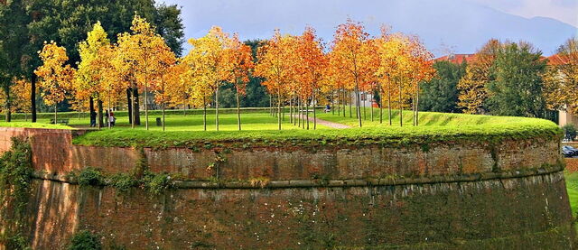 Garden walls of Lucca