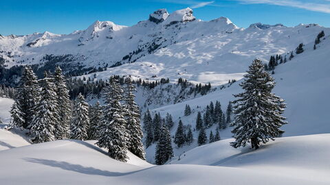 Alpine scenes