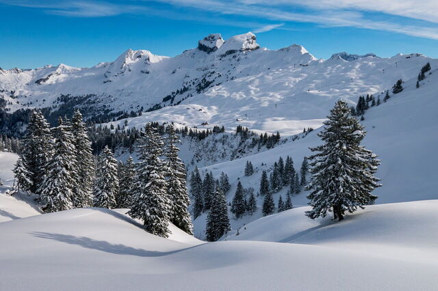 Alpine scenes